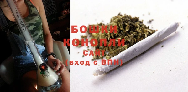 сатива Абинск