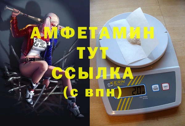 сатива Абинск
