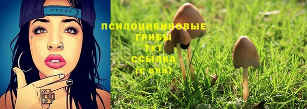 таблы Саяногорск