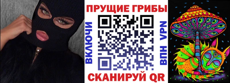 магазин продажи наркотиков  Вичуга  МЕГА как зайти  Псилоцибиновые грибы MAGIC MUSHROOMS 